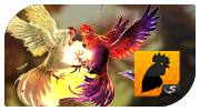 CockFT logo with rooster icon